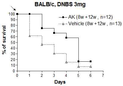 BALB/c 마우스를 이용한 크론병 모델에서 AK 균주가 생존율에 미치는 영향