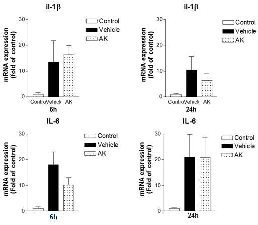 BALB/c 마우스 크론병 모델에서 AK 균주가 염증성 사이토카인 발현에 미치는 영향