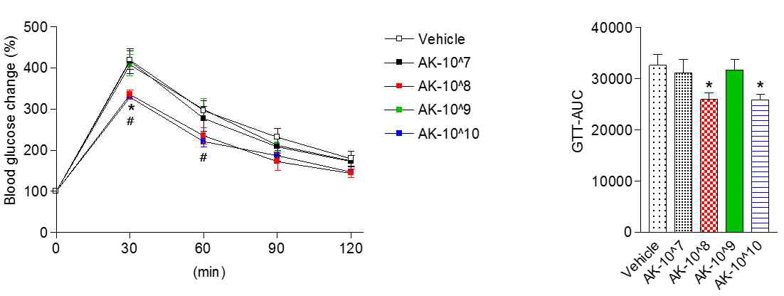 AK 균주의 농도별 투여에 따른 내당능장애 개선 효과