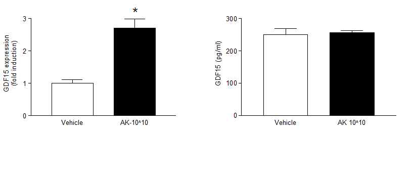 AK 투여에 따른 GDF15의 결장 내 유전자 발현량과 혈액 내 단백질량 비교