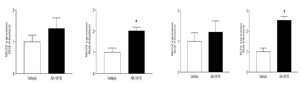 AK 투여에 따른 mucin과 KLF4의 결장 내 유전자 발현량 비교