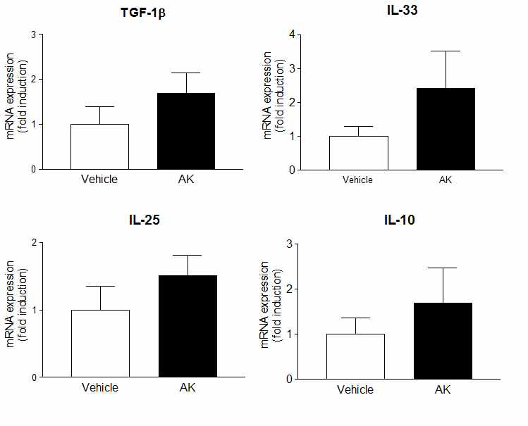 AK 투여에 의한 항염증성 사이토카인의 유전자 발현량 비교