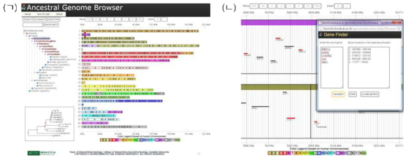 AGB 구성. (ㄱ) AGB에서 복원된 조상 유전체 정보. (ㄴ) AGB에서 복원된 유전체의 세부 정보 및 검색된 인간 유전자의 위치 정보