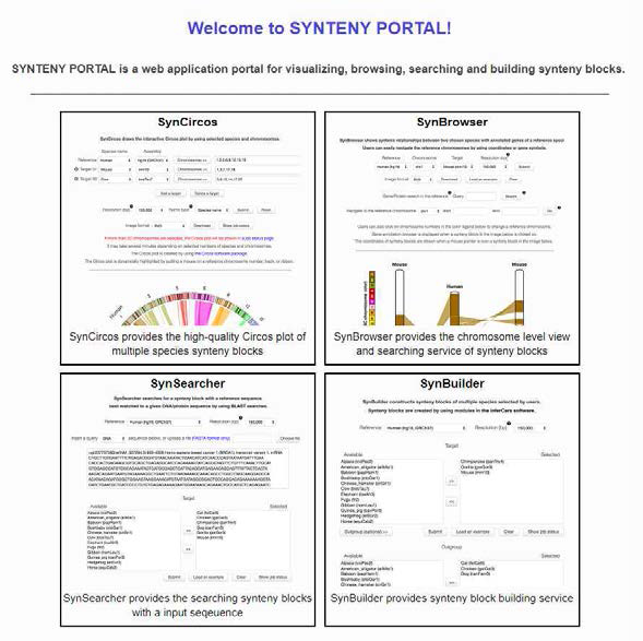 Synteny Portal 메인 화면