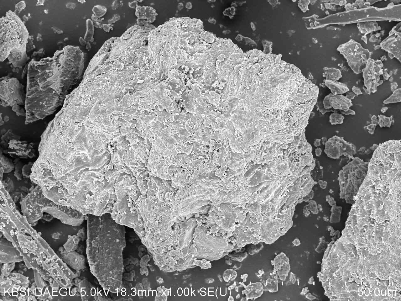 SEM image of Baganuur