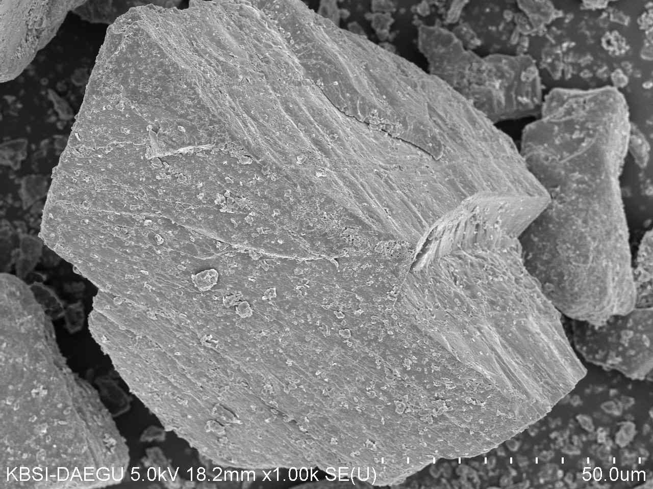 SEM image of Nalaih