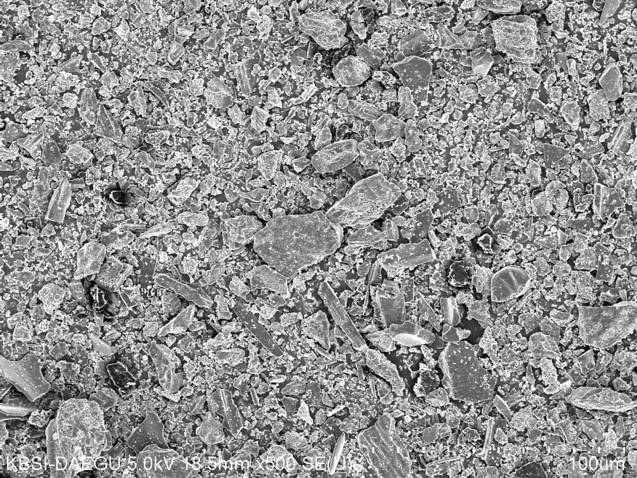 SEM image of Shivee-Ovoo