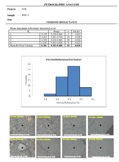 석탄 샘플의 vitrinite 반사율 최종 보고서 일례