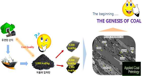 소비탄의 quality control의 필요성 일례