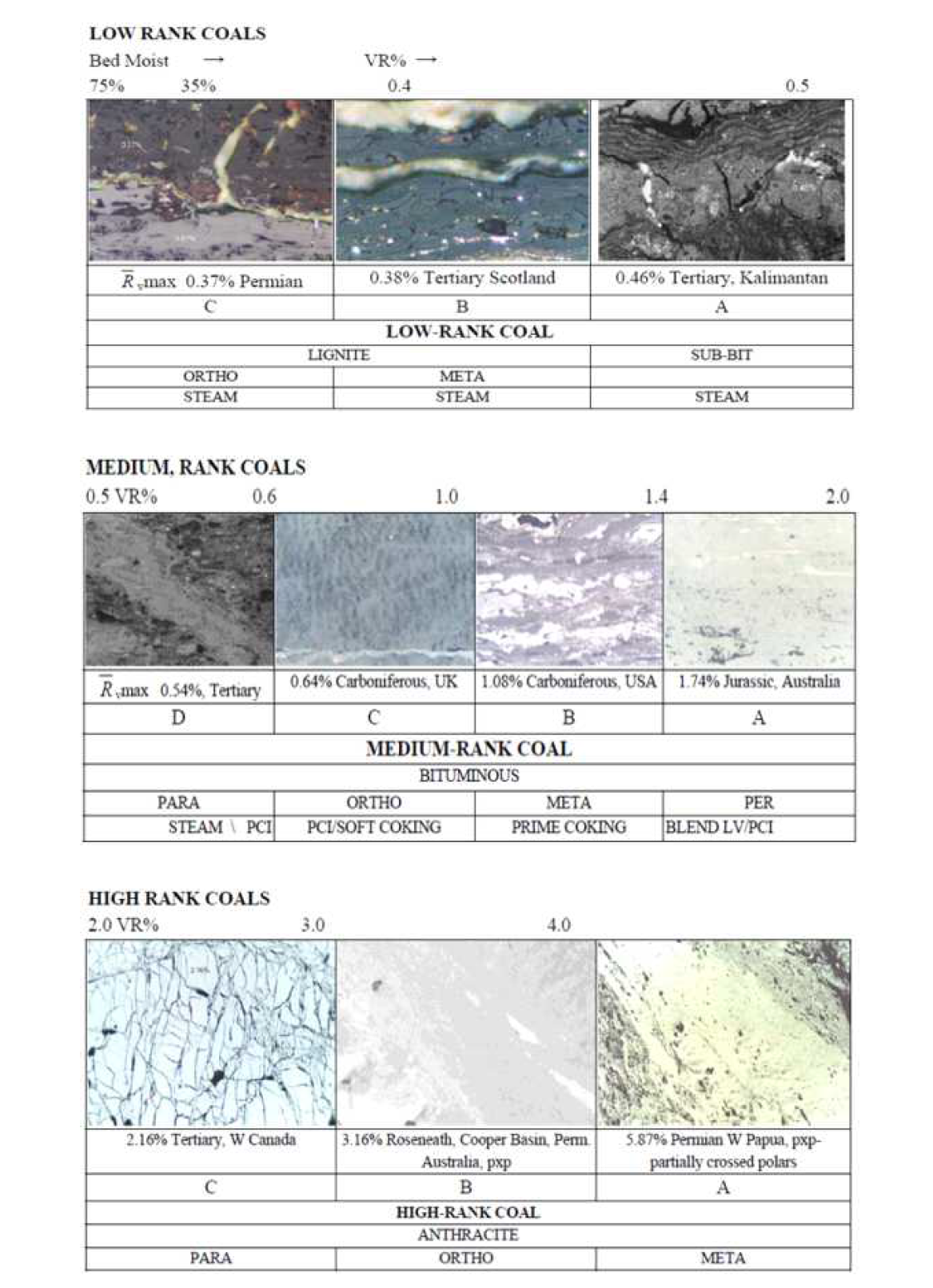 석탄 등급별 coal microscopic petrography 분석 예