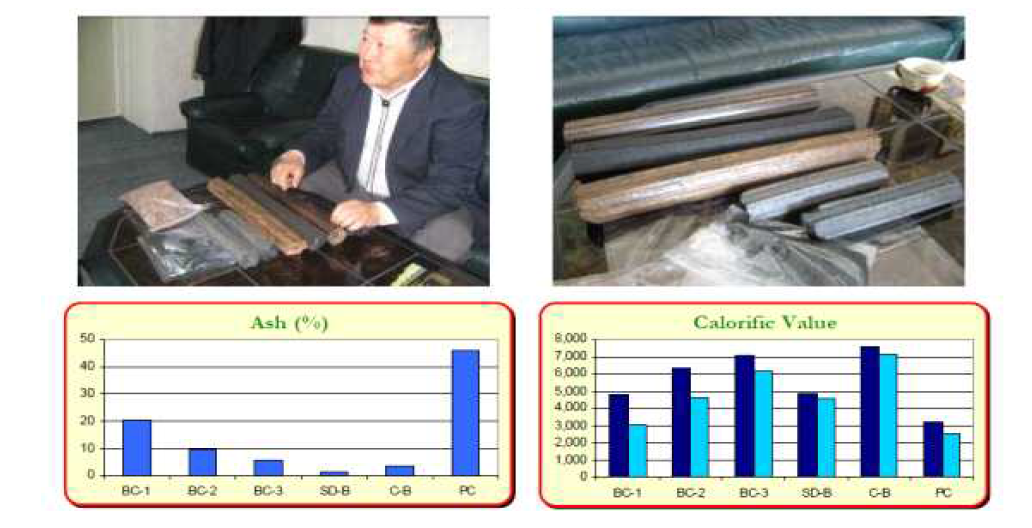 Briquettes in use in Ulaanbaatar and fuel characteristics