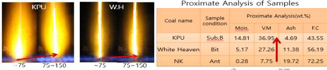 Ignition shape and proximate analysis by using LFR