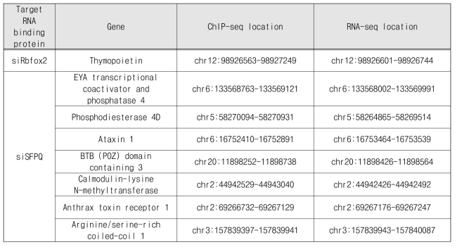 Rbfox2와 SFPQ에 의해 alternative splicing이 조절 받는 유전자와 chromosomal locus 확인. RNA-seq 결과와 ChIP-seq 결과가 1kbp안에서 겹쳐지는 유전자들과 염색체상에서의 위치 표시