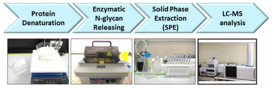 당단백질의약품의 당사슬 분석을 위한 분석법 워크플로우