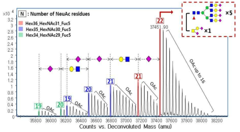 당단백질 전분자량 측정을 통한 다중당화된 당단백질 의약품의 당쇄화 점유율확인 및 당사슬 프로파일링