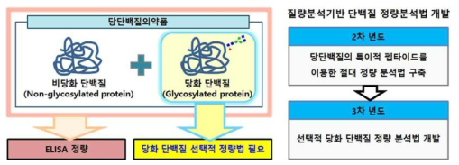 질량분석기반의 당단백질의약품 절대정량분석법