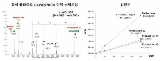 펩타이드 standard의 탄뎀 스펙트럼과 선정 조각을 이용한 검량선