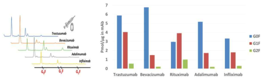 항체의약품의 주요 당사슬 절대정량 결과