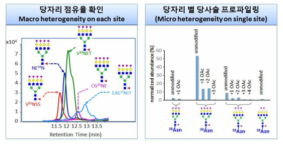 Multiple glycosylation site를 함유한 당단백질의약품의 당자리 특이적 당사슬 프로파일링