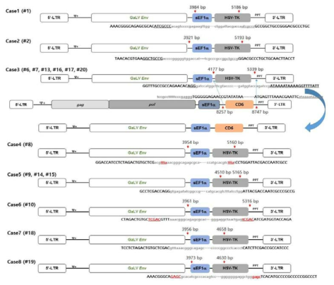 spRRVe-sEF1α-TK/sRRVgp-sEF1α-CD6의 Env 벡터 p10에서 upper band 분석