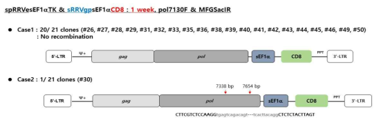 동물모델에서 spRRVe-sEF1α-TK/ sRRVgp-sEF1α-CD8 gag-pol 벡터 재조합 변이 분석(1 week)