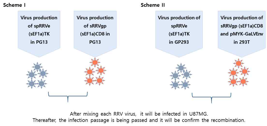 재조합 변이 극복 독립적인 semi-RRV 바이러스 벡터 합성 scheme