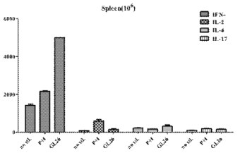 마우스 GL26 종양 세포 자극에 대한 cytokine 분비하는 림프구 측정 (ELISPOT)