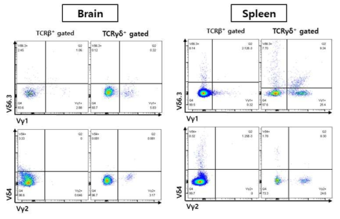 뇌종양에 침윤되는 γδ T세포의 Vγ, Vδ 수용체 usage