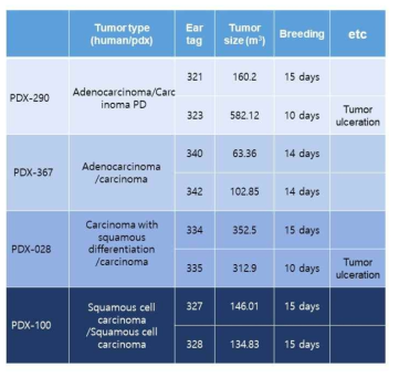 본 실험에 사용된 PDX의 종류와 특성