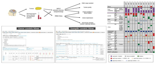 유전체분석 파이프라인 (좌상), 데이터베이스 (좌하) 및 신경교종 분석의 예시 (우)