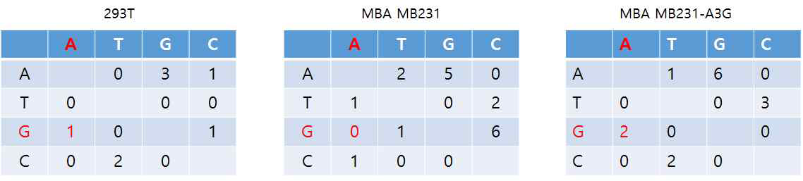 5‘-LTR mutation 비율