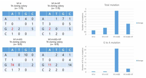 5‘-LTR mutation 빈도수 확인 및 정량화