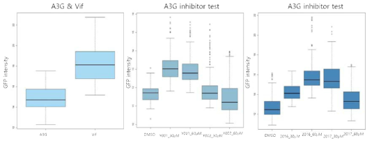 A3G inhibitor(Y001, Y002, 2016, 2017)에 의한 RRV 감염능 정량화