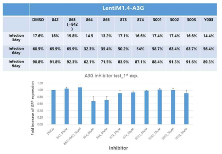 U-87MG/A3G에서A3G inhibitor에 의한 RRV 감염 개선 확인(1st Exp.)