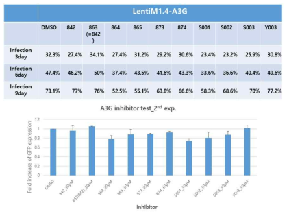 U-87MG/A3G에서A3G inhibitor에 의한 RRV 감염 개선 확인(2nd Exp.)