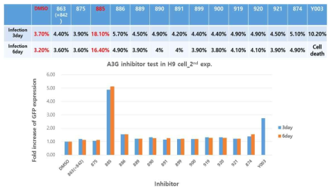 H9에서 A3G inhibitor(875~990)에 의한 RRV 감염 개선 확인(2nd exp.)