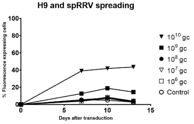 H9의 날짜별·역가별 spRRVeGFP/sRRVgpRFP 바이러스 감염 효율