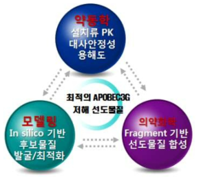 APOBEC3G 저해 저분자 선도물질 개발 개념도