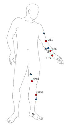 침치료 효과에 사용된 경혈과 비교경혈의 위치