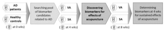 아토피 환자 침구의학적 관리를 위한 예비 임상연구의 흐름도. AD, 아토피 피부염 (atopic dermatitis); VA, 침처치군(Verum Acupuncture group); SA, 가짜침군(sham acupuncture group); wks, weeks