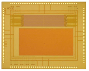 2-채널 DNA readout chip die