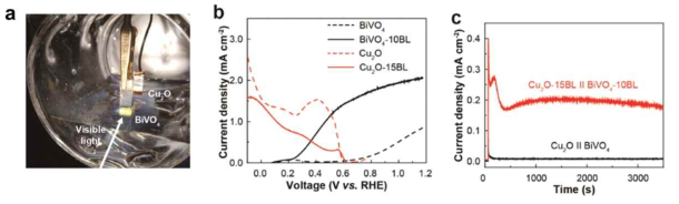 (a) 실제 물분해 반응의 디지털 사진. (b) Cu2O-BiVO4의 선형주사 전위법. 두 그래프의 접점이 있어야 인가전압 없이 물분해 전체반응을 수행할 수 있다. (c) 전체 물분해 반응의 시간-전류 그래프