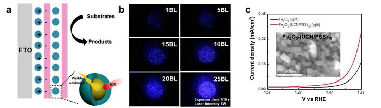 (a) Upconversion 나노입자의 다층박막 적층 기법 적용 모식도. (b) Upconversion 나노입자와 고분자의 다층박막 적층 후 기판의 가시광선 방출 이미지. (c) Hematite와 다층박막 적층 후의 선형주사 전위 그래프