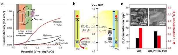 (a) Melanin (전도성 고분자)/Co-POM 전착에 의하여 형성된 Fe2O3의 전자전달 모식도 및 선형주사 전위 그래프 비교. (b) WO3의 물분해 밴드 모식도. (c) 전착방법에 의하여 집적된 박막의 산소 발생량 및 과산화수소 생성량
