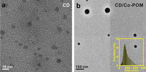 (a) 탄소나노입자, (b) 탄소나노입자/Co-POM 복합체의 투과전자현미경 이미지