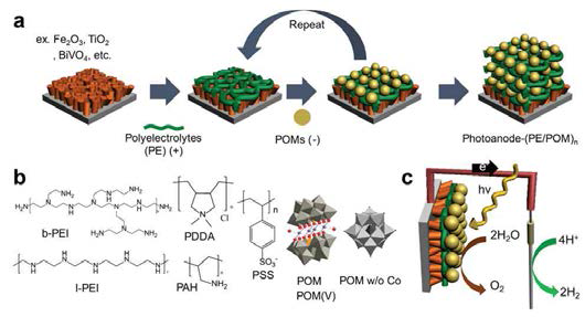 (a) Hematite 표면에 다양한 고분자들과 POM을 적층하는 모식도. (b) 본 연구에 사용된 여러 가지 고분자 및 POM구조. (c) 광-전기화학적 물분해 모식도