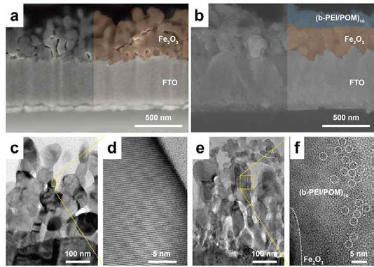 (a) Hematite, (b) 다층박막 적층 처리 후 hematite의 주사전자현미경 이미지. (c-d) Hematite, (e-f) 다층박막 적층 후 hematite의 투과전자현미경 이미지