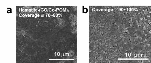 고분자 기초층을 도입하기 (a) 전과 (b) 후의 hematite-(GO/Co-POM) 박막의 주사전자현미경 이미지. Hematite표면의 덮임 정도가 고분자 기초층이 도입되었을 때가 더 좋은 것을 확인할 수 있다