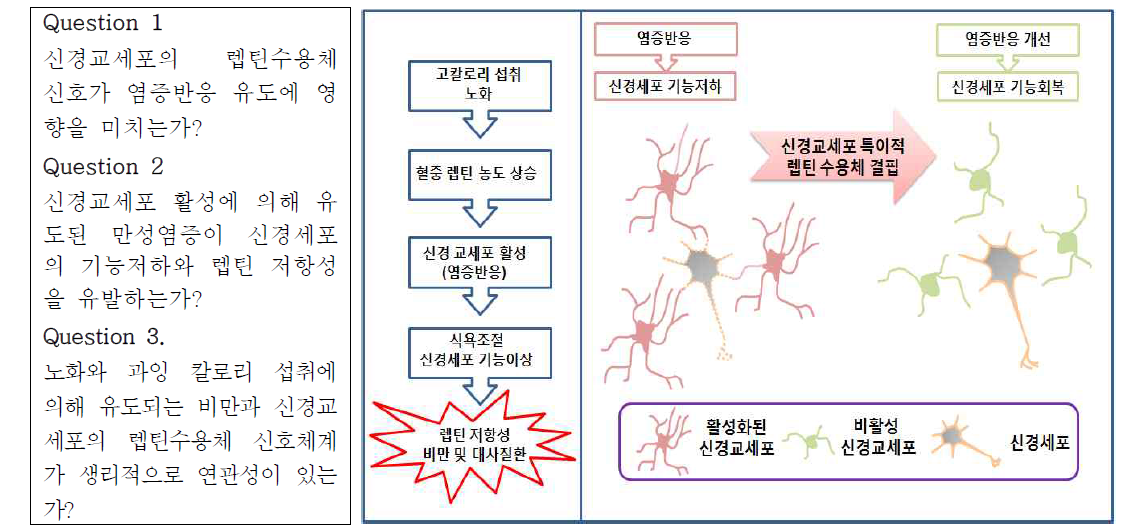 연구과제의 핵심목표 도출배경