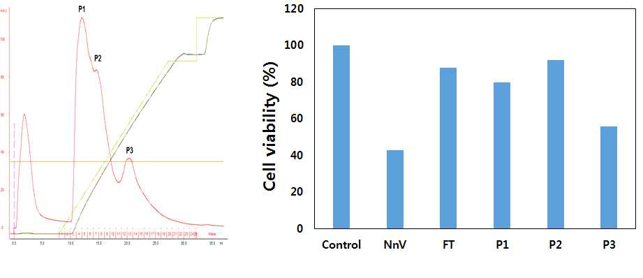 NnV 항간섬유화 성분 분리 및 세포독성 비교